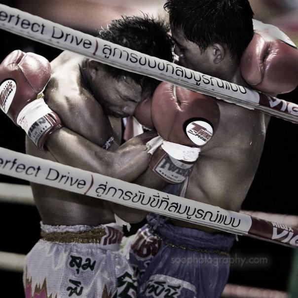 fight22.jpg